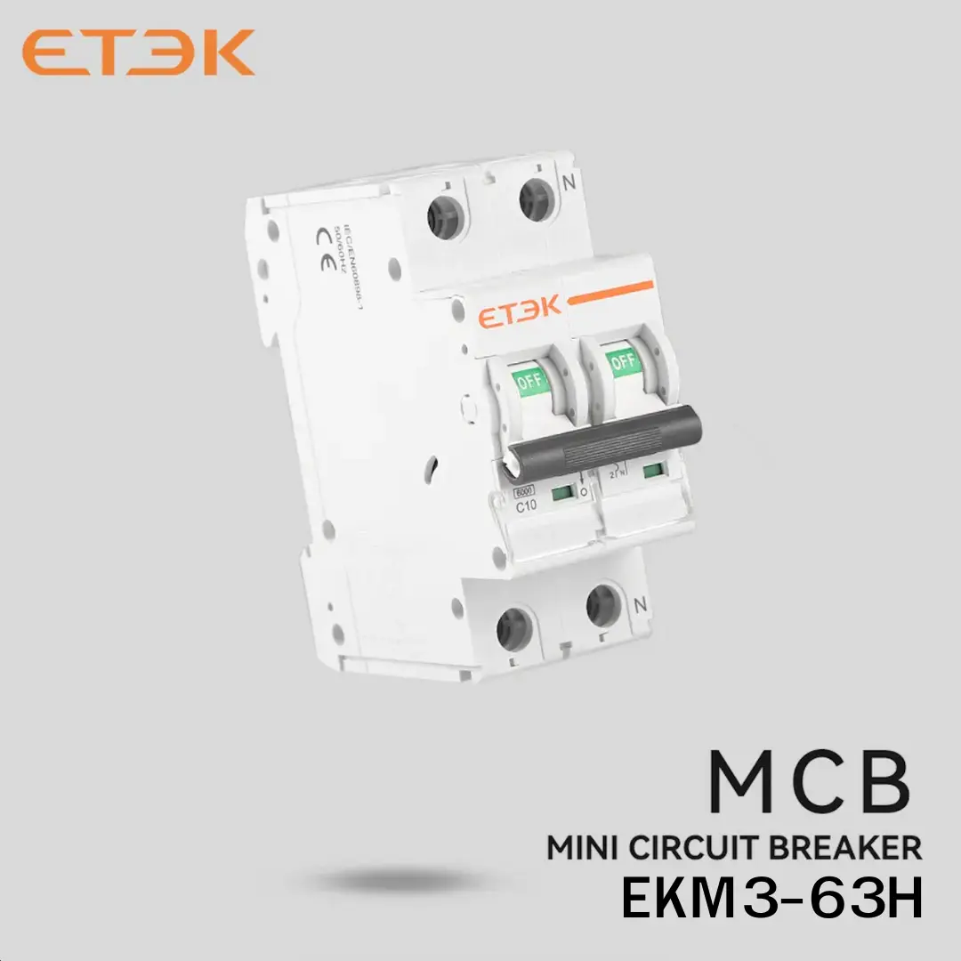Etek MCB Main Breaker 10ka-6